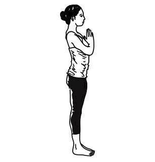 POSES OF SURYANAMASKAR