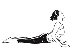 POSES OF SURYANAMASKAR