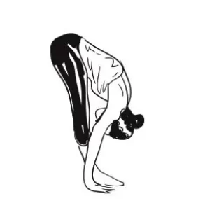 POSES OF SURYANAMASKAR