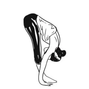 POSES OF SURYANAMASKAR