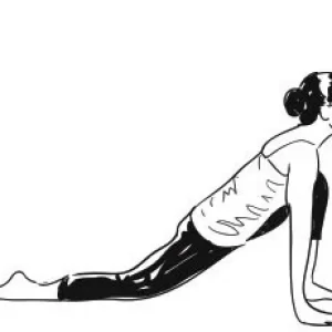 POSES OF SURYANAMASKAR