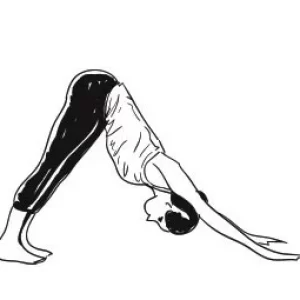 POSES OF SURYANAMASKAR